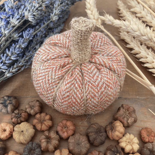 Lavender Pumpkin: Spiced Orange